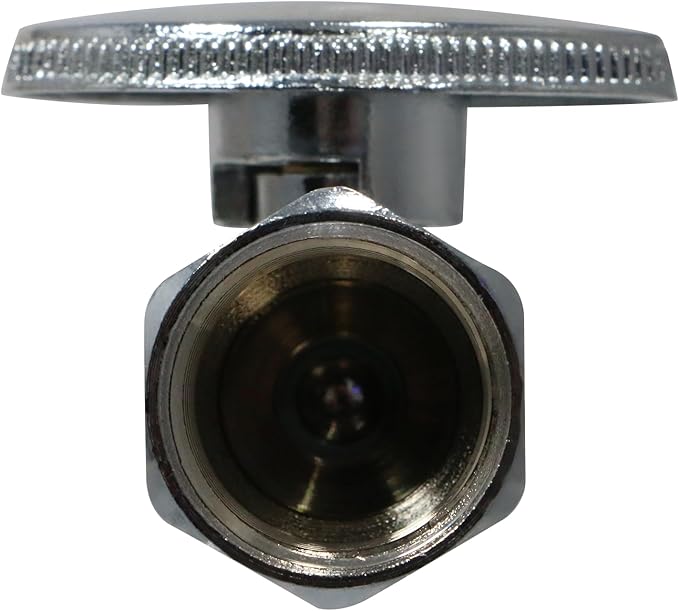 XFITTING 1/2 Inch Female NPT x 3/8 OD Compression Straight Valve, 30-1-4=2XX, 2 Pieces