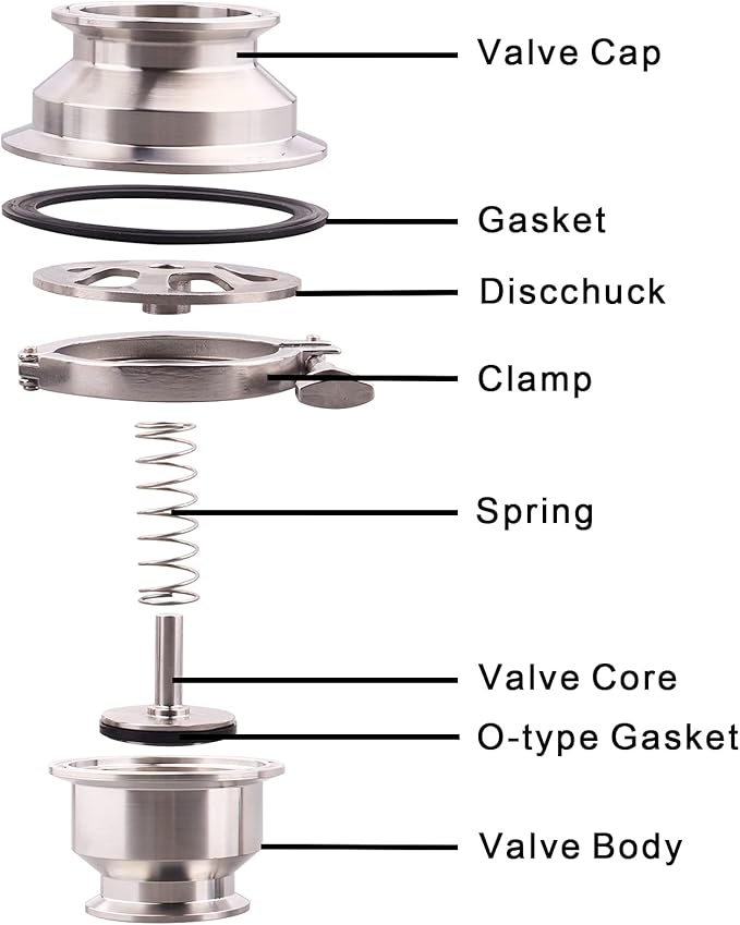 DERNORD Sanitary Check Valve - One Way Flow - 2" Tri Clamp Style, Stainless Steel 304, FKM Gasket (2" Tri Clamp Check Valve)