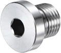 1-Pack Inner Hex Head Pipe Fitting Plug, 1/4 NPT 304 Stainless Steel Socket Bung Plug with Sealing Ring for Terminate Pipe Ends/Replacement Drains