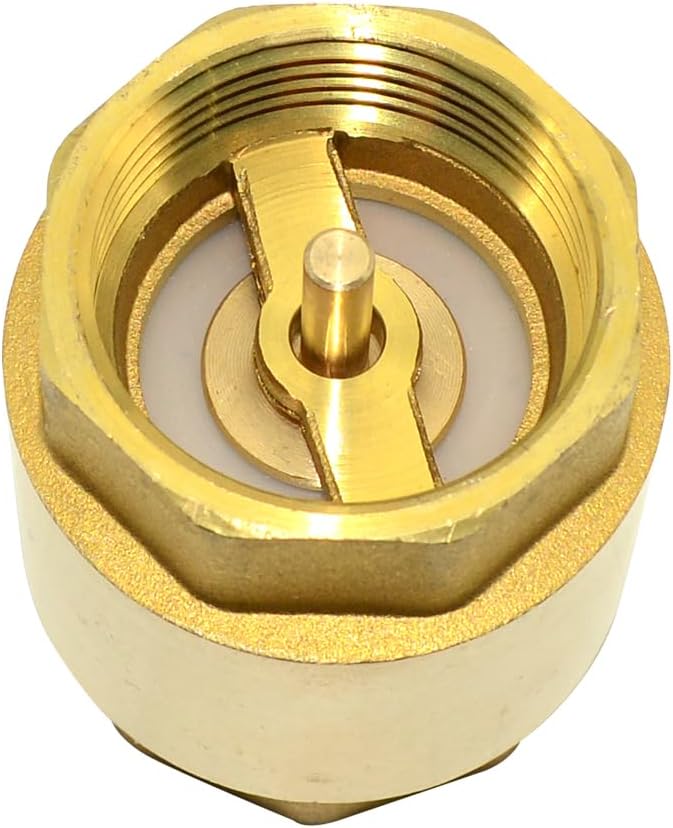 DAN SPEED Brass Check Valve,Female Thread Spring Check Valve,One Way Horizontal Check Valves for Backflow Prevention,Well, Pump, Tank ((DN32) 1-1/4'')