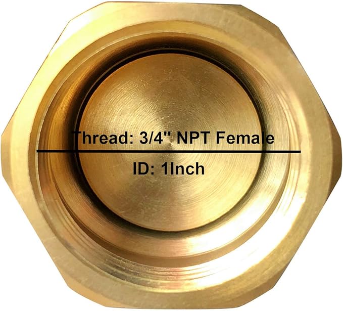 Brass Foot Valve 3/4 inch NPT Heavy Duty Spring Mesh Check Valve Female Connection One Way Foot Valve Backflow Preventer with Holes Strainer Filter for Well Jet Pumps Foot Valv (3/4'' NPT)