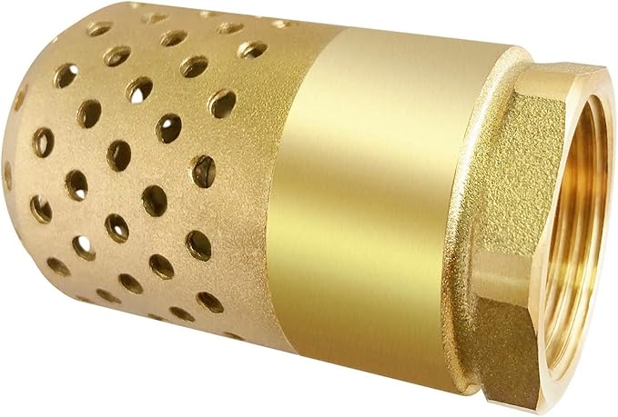 Brass Foot Valve, 2 inch NPT Spring Mesh Check Valve Female Connection One Way Foot Valve Backflow Preventer with Holes Strainer Filter(2'' NPT)