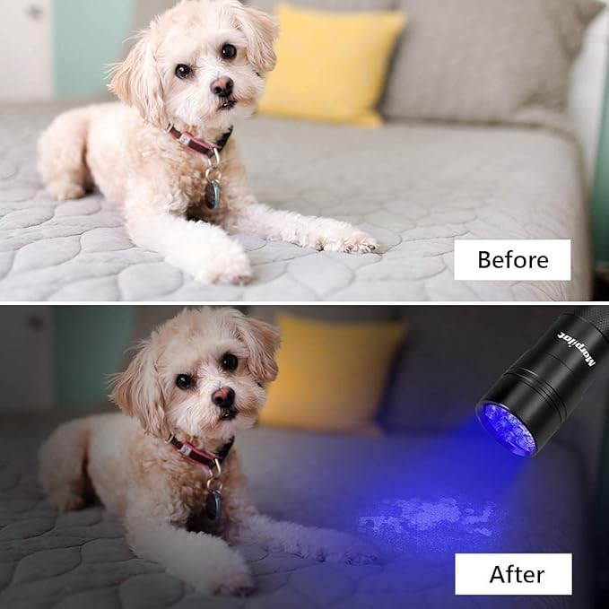Morpilot Blacklight Flashlights uv Flashlight,12 LED 395nm Ultraviolet Blacklight 2 PCS Black Light Flashlight Mini, Torch Light Pet Urine Detector Light for Dog/Cat, Dry Stains,Resin Curing,Bed Bug