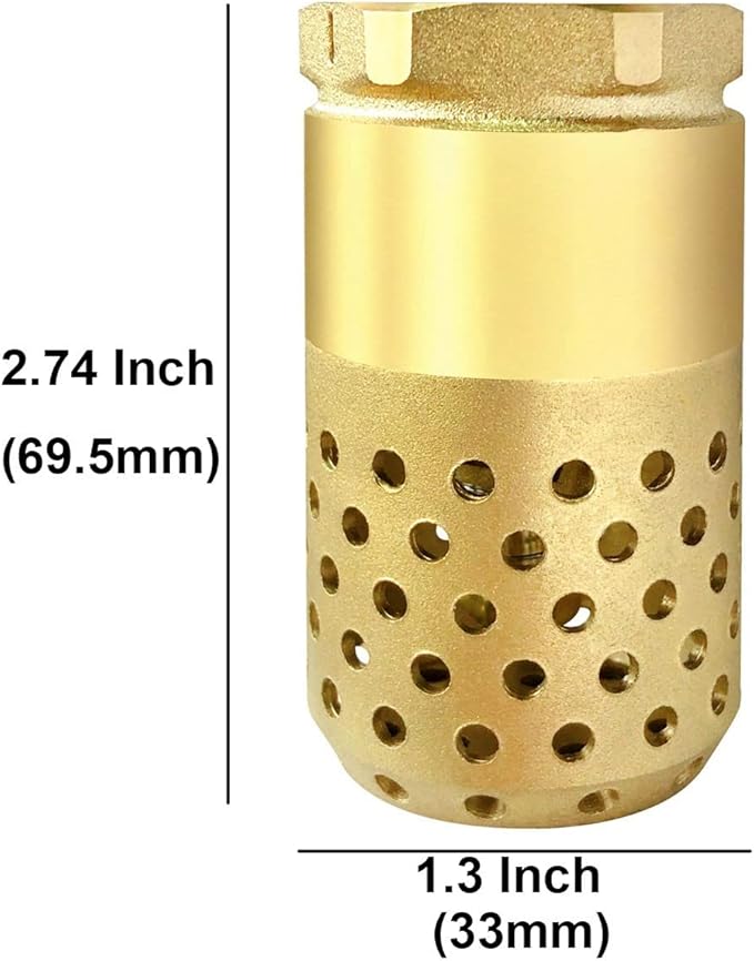 Brass Foot Valve 3/4 inch NPT Heavy Duty Spring Mesh Check Valve Female Connection One Way Foot Valve Backflow Preventer with Holes Strainer Filter for Well Jet Pumps Foot Valv (3/4'' NPT)
