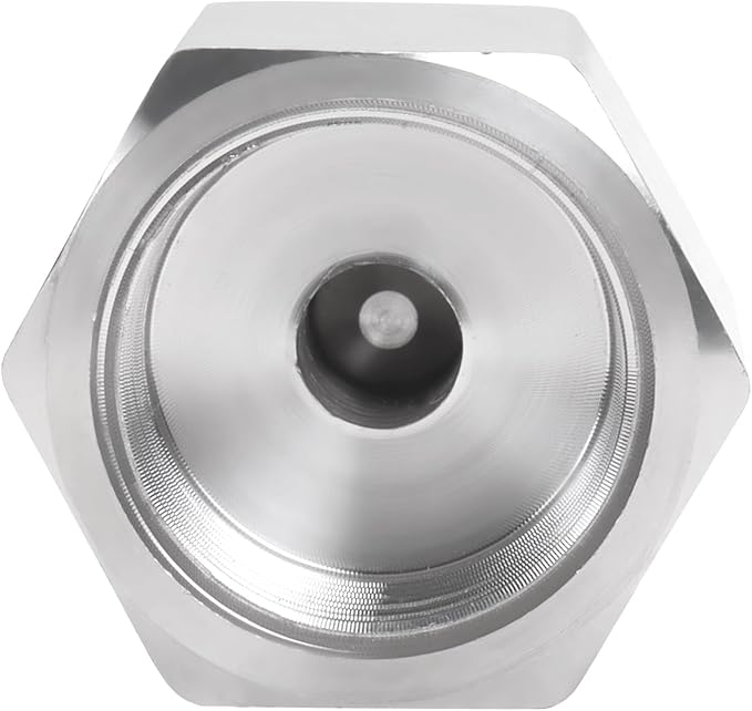 Air Check Valve - 3/4" NPT Female x Male High Temperature Stainless Steel Hex One Way Valve For Air