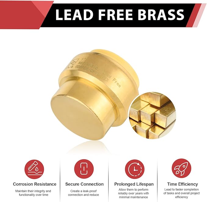 (Pack of 2) EFIELD 1 Inch Plug End Cap Push-Fit Fitting to Connect Pex, Copper, CPVC With Disconnect Clip,(PF101-2PCS)