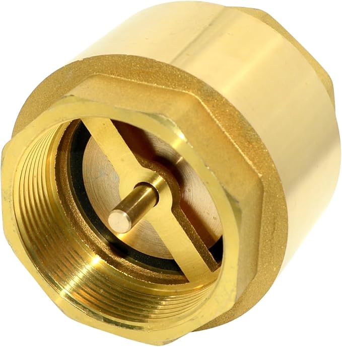 DAN SPEED Brass Check Valve,Female Thread Spring Check Valve,One Way Horizontal Check Valves for Backflow Prevention,Well, Pump, Tank ((DN50) 2'')