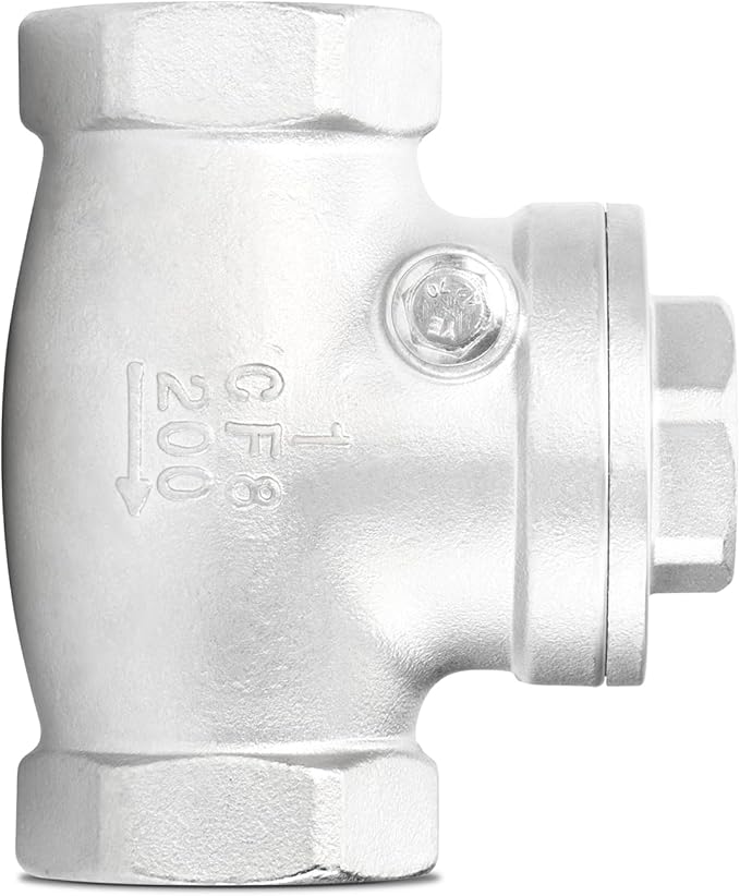 TAISHER 1PCS 304 Stainless Steel 1" NPT Female Swing Check Valve，Backflow Prevention, One Way Check Valve CF8 WOG 1000