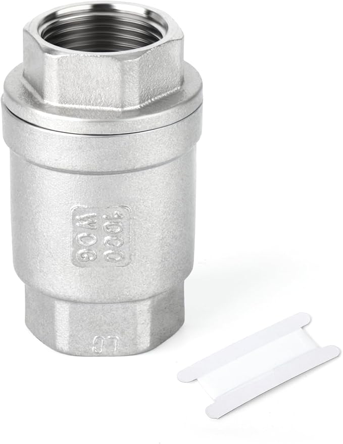 TAISHER 1PCS 304 Stainless Steel 1" NPT Female Vertical Check Valve，Backflow Prevention, One Way Spring Check Valves CF8 WOG 1000