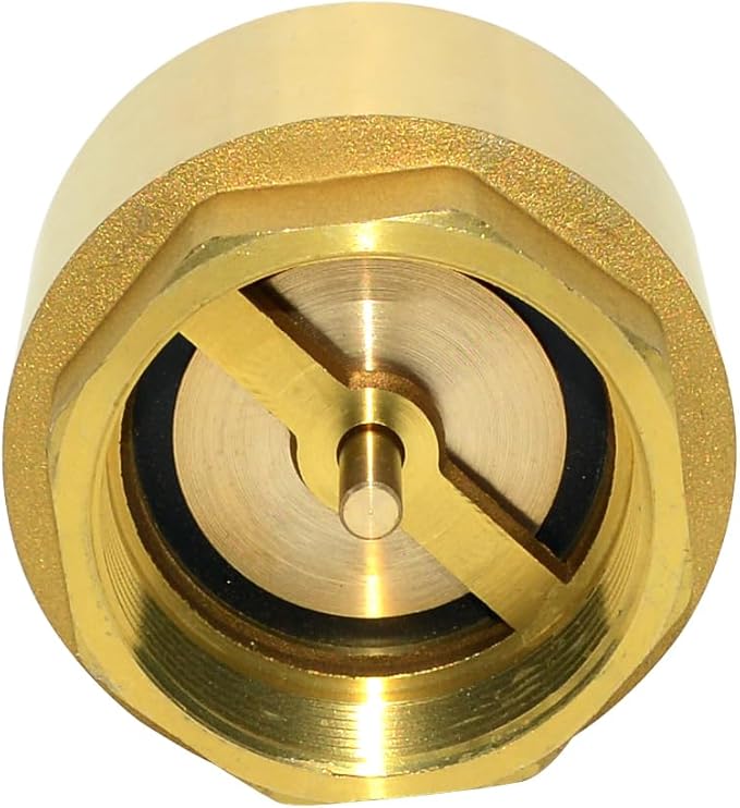 DAN SPEED Brass Check Valve,Female Thread Spring Check Valve,One Way Horizontal Check Valves for Backflow Prevention,Well, Pump, Tank ((DN50) 2'')