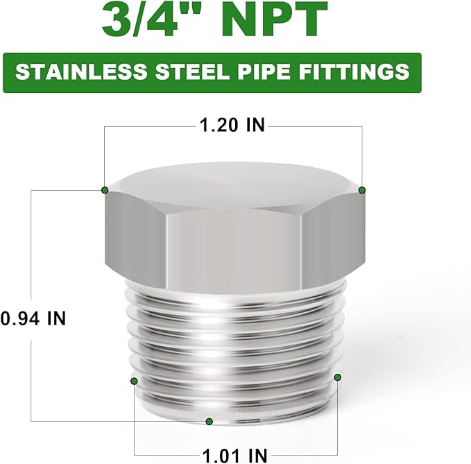 TAISHER 2PCS Stainless Steel Outer Hex Thread Socket Pipe Plug Fitting 3/4" NPT Male