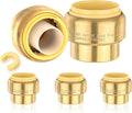 HeSun 5-Pack Brass Pushfit Plug (End Cap), 3/4-Inch Push-to-Connect Plumbing Fitting with Disconnect Clip for PEX, Copper, CPVC, PE-RT Pipes