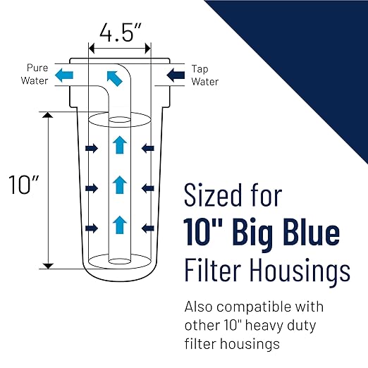Pentair Pentek 166219 Big Clear Filter Housing, 1" NPT #10 Whole House Heavy Duty Water Filter Housing with Pressure Relief Button, 10-Inch, Blue/Clear