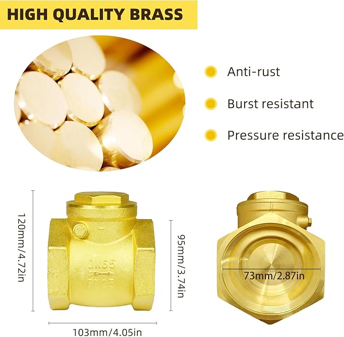 2 1/2" Swing Brass Check Valve DN65, One Way Oil Water Fuel Gas Air Check Valve to Prevent Water Backflow for Sump Pump and Air Compressor