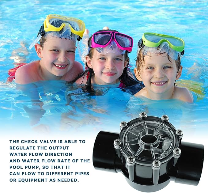 Upgrade 263042 Check Valve CPVC for Pool Pumps, 2 Port Straight