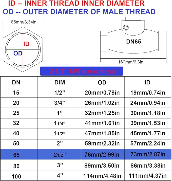 2-1/2" Stainless Steel Check Valve, NPT Threaded Horizontal Check Valve Check valve to prevent backflow, check valve for water, oil and air, also available with compressor DN65