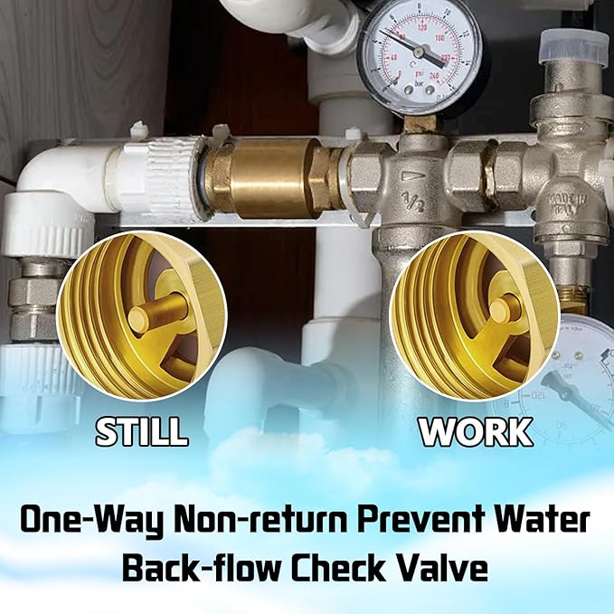 Boltigen 2PCS Solid Brass Spring Check Valve, 1/2 Inch NPT Female Thread Non-Return One-Way Horizontal and Vertical In-Line Water Valve for Well, Pump, Tank, Backflow Preventer
