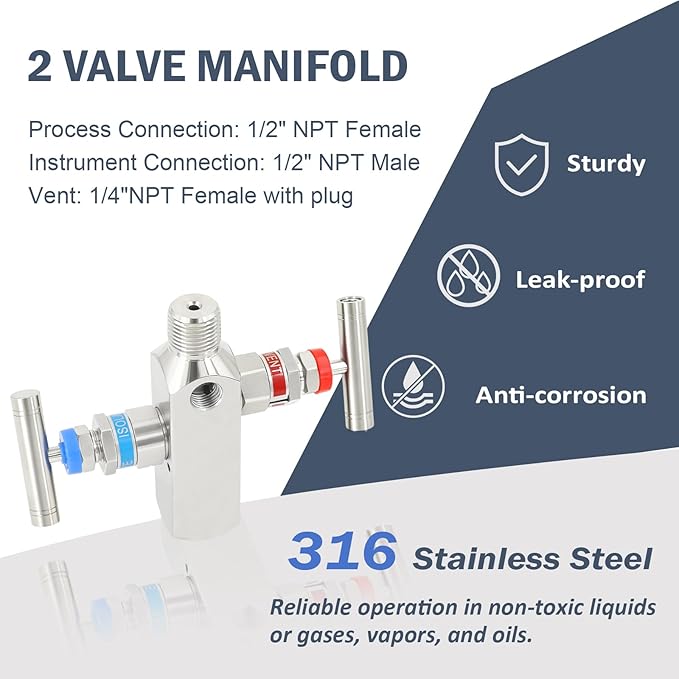2-Valve Manifold – 316 Stainless Steel 2-Way High-Pressure Gas Distributor, Compatible with Pressure Gauges & Transmitters by Rosemount, Siemens, Honeywell, E+H