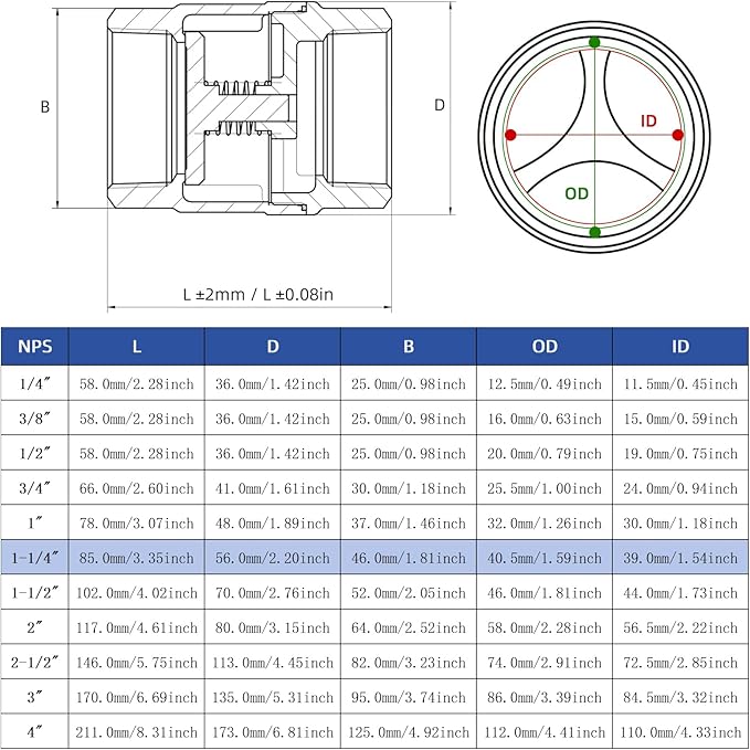 1-1/4" NPT Stainless Steel Spring Check Valve, WOG1000 NPT Thread unleaded In-Line Vertical Check Valve Non Return One Way Counterflow to Prevent the Medium Backflow for Oil Water Gas Air DN32