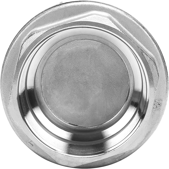 2 Inch Vertical Check Valve SUS304 Spring Loaded Check Valve in-line Low Cracking Pressure CF8M WOG 1000