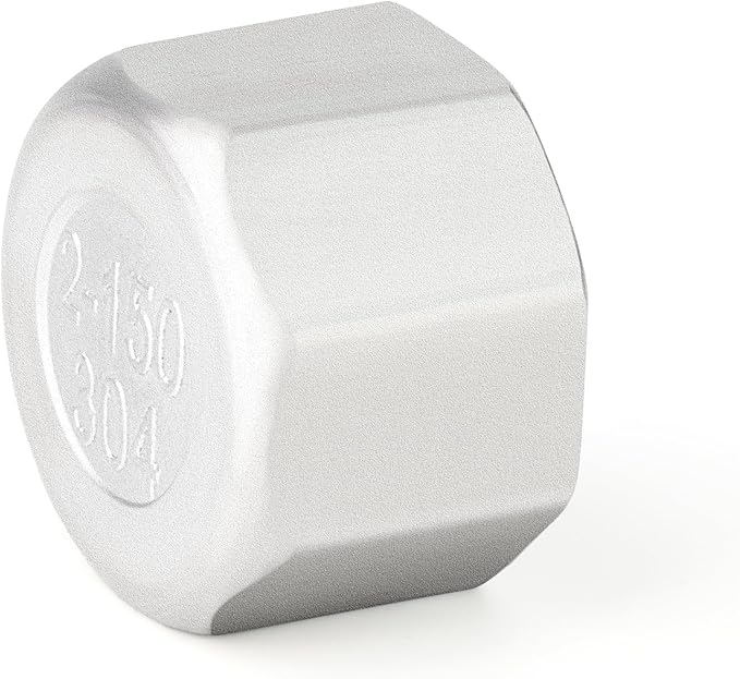 TAISHER 2PCS 304 Stainless Steel Cap Pipe Plug Socket Fitting 2" NPT Female
