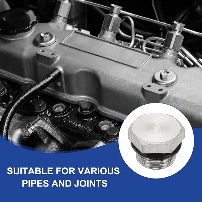MECCANIXITY NPT Pipe Plug Fitting, 304 Stainless Steel NPT 2 Male Outer Hex Thread for Plumbing Fixed with Sealing Rubber Ring