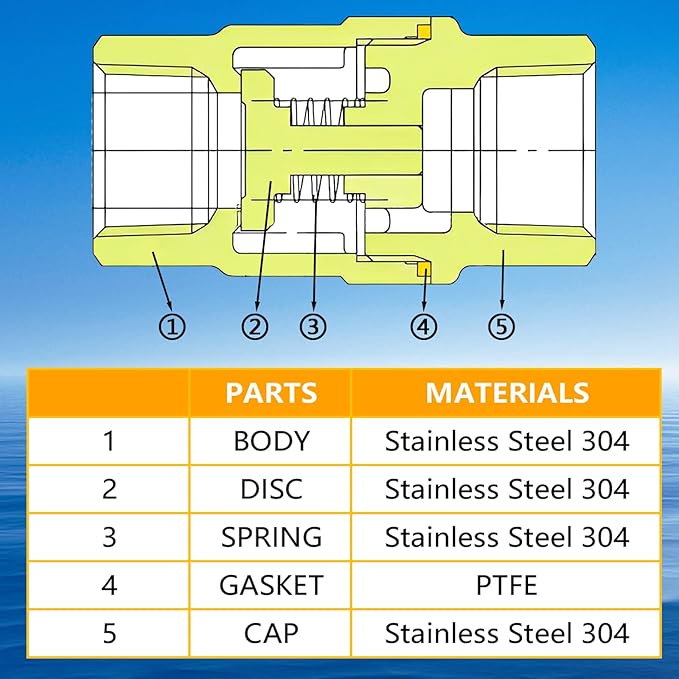Boltigen 1-1/4 inch Spring Check Valve, 304 Stainless Steel CF8 Non Return One Way Horizontal Check Valve, Vertical Inline Water Check Valve for Well, Pump, Tank, Backflow Prevention, WOG 1000