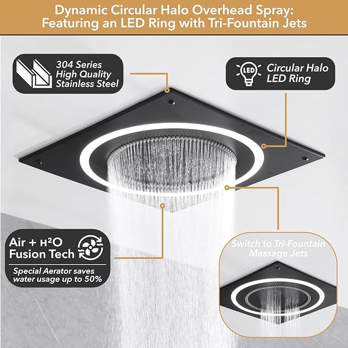 VANFOXLE Shower Faucet Set Matte Black Shower System,Shower Faucet with 2 in 1 Handheld,Ceiling Mount 19 Inch Shower Head+14 Inch Shoulder massager