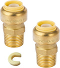 2-Pack HeSun Pushfit Male Adapter, 1/2" MNPT x 1/2" Push to Connect Plumbing Fittings with Disconnect Clip, Brass Push-fit Fittings for PEX, Copper, CPVC, PE-RT Pipes(PF021-2)