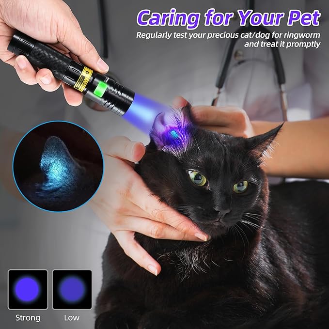 DARKBEAM Flashlight UV 365nm Black Light High Power 3 LEDs USB -C Rechargeable, 20W Mini Woods Lamp Ultraviolet with Filter - Detector for Pet Urine, Uranium Glass - Leak Detection - Resin Curing