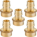 5-Pack HeSun PEXA Fitting, Expansion 1/2 Inch Female Thread Adapter,1/2" Female NPT x 1/2" Pex-a Expansion Adapter,ASTM F1960(PEX1960026-5)
