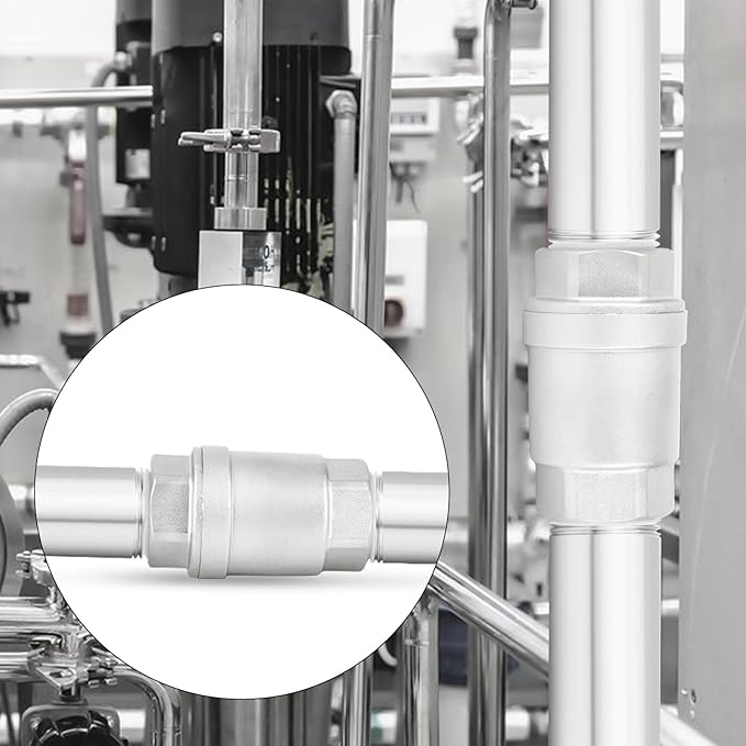 TAISHER 2PCS 304 Stainless Steel 3/8" Female Vertical Check Valve，Backflow Prevention, One Way Spring Check Valves CF8 WOG 1000