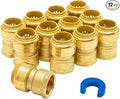 SUNGATOR 3/4 Inch x 3/4 Inch FNPT Adapter, 3/4 Inch Female Adapter, No Lead Brass Push-to-Connect Plumbing Fitting for PEX Pipe, Copper, CPVC, With 1 Disconnect Clip, Pack of 12