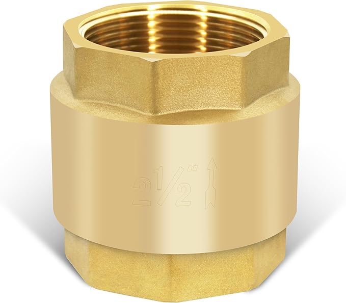2-1/2" NPT Brass Vertical Check Valve, NPT Thread Vertical Lead-Free In-Line Spring Check Valve, Non Return One Way Counterflow Valve to Prevent the Medium Backflow for Oil Water Gas Air DN65