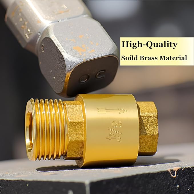 One Way 3/4 Inch Brass Check Valve, NPT Spring Loaded One Way Non Return Valve, Heavy Duty Backflow Suitable for Water Supply System (2 Pack)