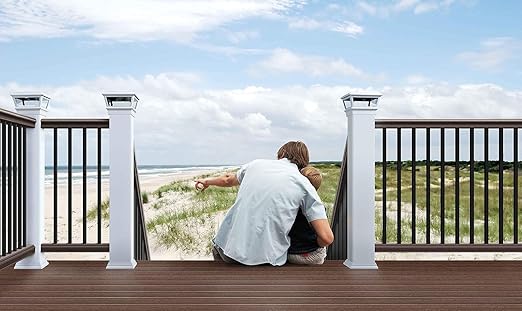 100 Pack Deck Balusters 32 '' Straight Baluster, Black Metal Deck Spindle and Stairs Railing with Screws,Hollow Rectangle Deck Balusters for Deck Railing Porch(32 x1.2x0.4 in)