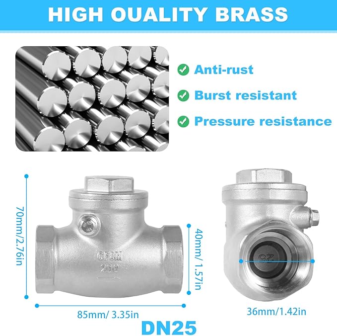 1" Stainless Steel Check Valve, NPT Threaded Horizontal Check Valve Check valve to prevent backflow, check valve for water, oil and air, also available with compressor DN25