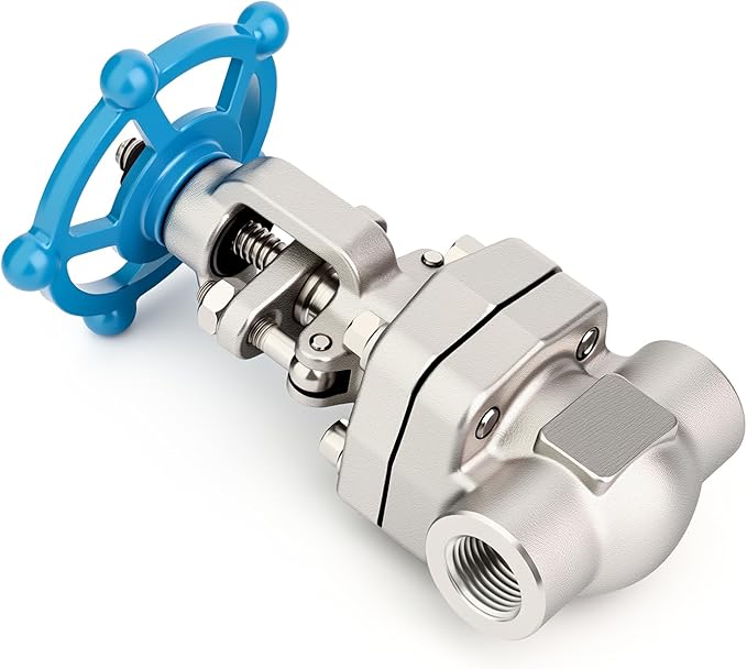 TAISHER 1PCS Forging of 304 Stainless Steel Gate Valve, 3/4" NPT Female Rotary Sluice Valve With Wheel Handle, For Water, Oil, Gas