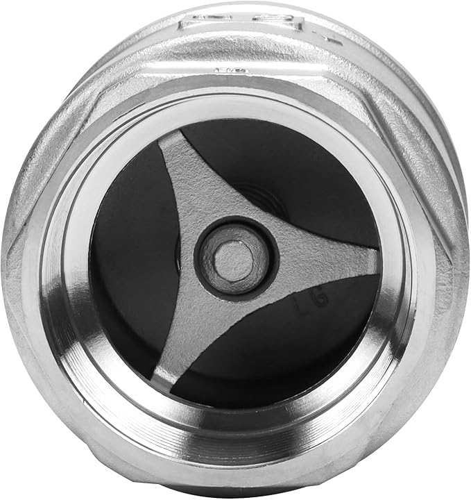 2 Inch Vertical Check Valve SUS304 Spring Loaded Check Valve in-line Low Cracking Pressure CF8M WOG 1000