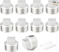 TAISHER 10PCS 304 Stainless Steel Outer Square Thread Socket Pipe Plug Fitting 3/4" NPT Male