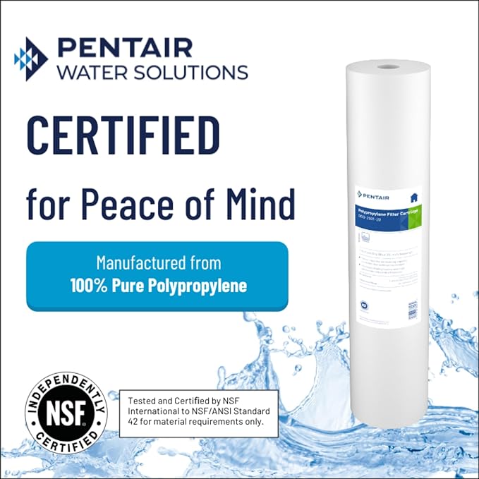 Pentair Pentek DGD-2501-20 Big Blue Water Filter, 20-Inch Whole House Sediment Filter Cartridge Replacement, Dual-Gradient Density Spun Polypropylene, 20" x 4.5", 1 Micron, Pack of 2, White