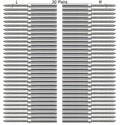 3/16 T316 Stainless Steel Cable Railing Hardware,Cable Railing Kit, 30 Pairs Swage Lag Screws Left & Right