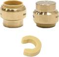 (Pack of 2) EFIELD 1 Inch Plug End Cap Push-Fit Fitting to Connect Pex, Copper, CPVC With Disconnect Clip,(PF101-2PCS)