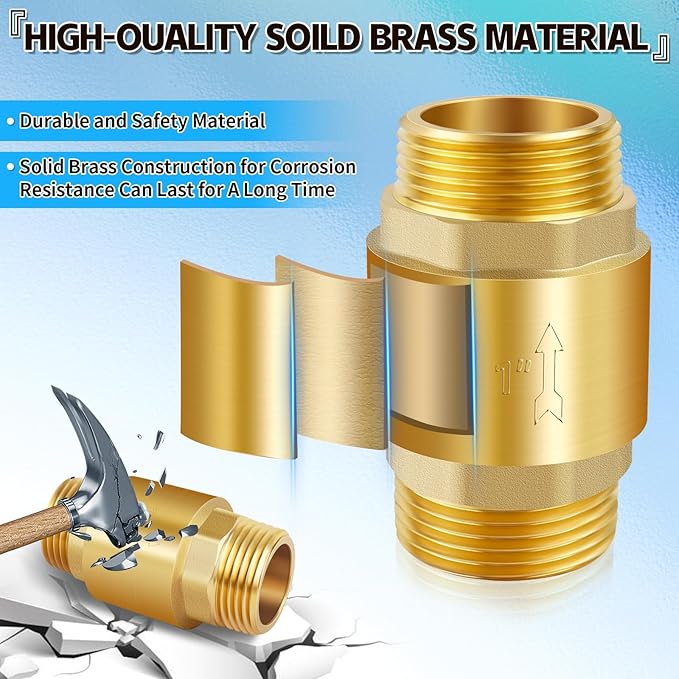 Boltigen 2Pcs 1in NPT Spring Check Valve, Brass Non Return One Way Check Valve, Vertical Inline Water Backflow Preventer for Well, Pump, Tank (1" Male x 1" Male(DN25))