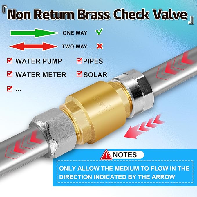 Boltigen 2Pcs 1in NPT Spring Check Valve, Brass Non Return One Way Check Valve, Vertical Inline Water Backflow Preventer for Well, Pump, Tank (1" Male x 1" Male(DN25))