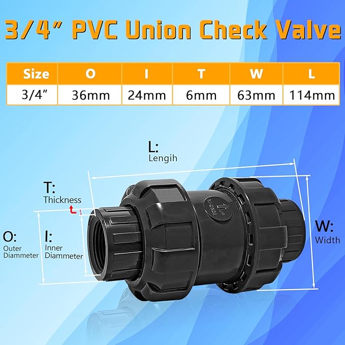 3/4in NPT PVC Spring Check Valve, UPVC Swing Utility Water One Way Check Valve, Sch80 Pool Ball Check Valve for Backflow Prevention