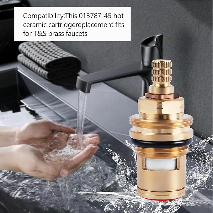 013787-45 Ceramic Cartridge Assembly Replacement for T&S Brass Faucets, Pressure 20PSI-125PSI, Temperature 40F-140F (Hot)