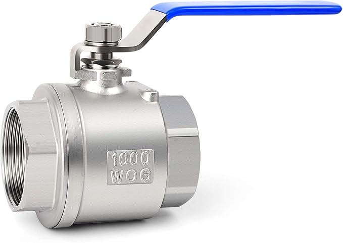 TAISHER 2 PCS 1/2 Inch FNPT Heavy Duty Full Porat Ball Valve 304 Stainless Steel with Blue Handles