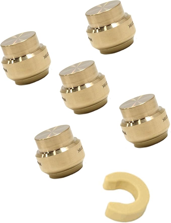(Pack of 5) EFIELD 3/4 Inch Plug End Cap Push-Fit Fitting to Connect Pex, Copper, CPVC with Disconnect Clip,(PF099)