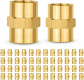 50-PCs HeSun Brass Pipe Fitting, 1/4" NPT Female x 1/4" NPT Female Hex Pipe Adapter
